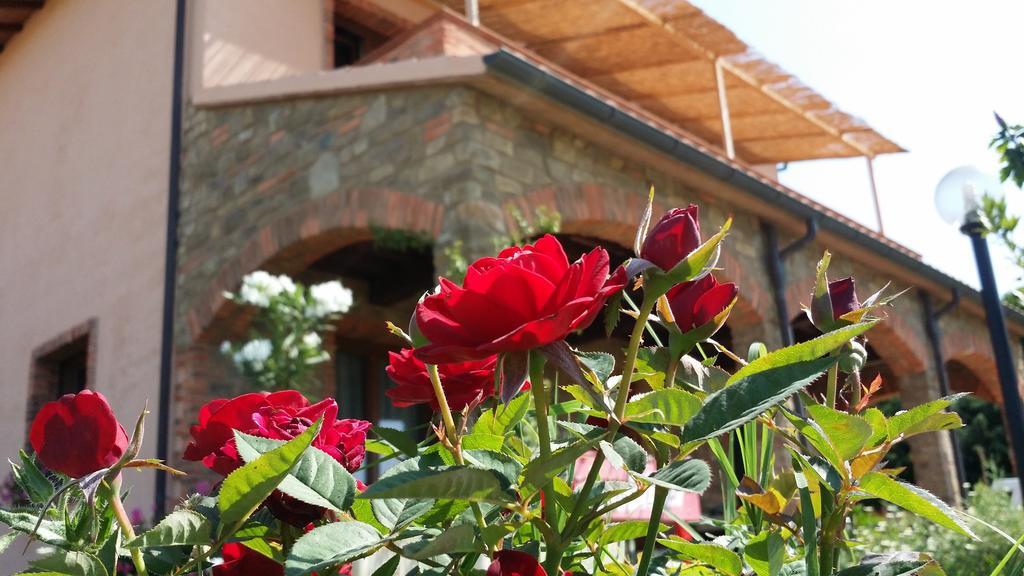 Agriturismo La Nocciolina Вентурина-Терме Екстер'єр фото