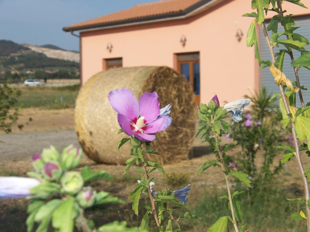 Agriturismo La Nocciolina Вентурина-Терме Екстер'єр фото